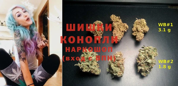 винт Абаза