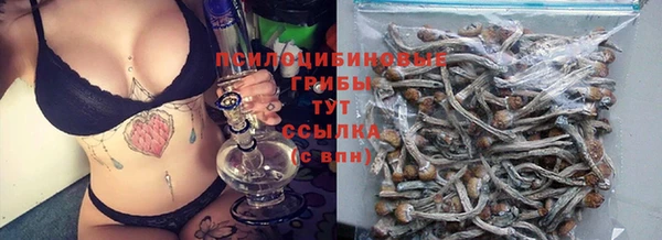 a pvp Алексеевка