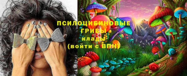 2c-b Абинск